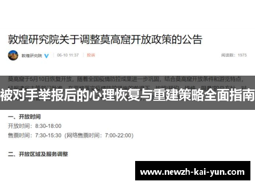 被对手举报后的心理恢复与重建策略全面指南
