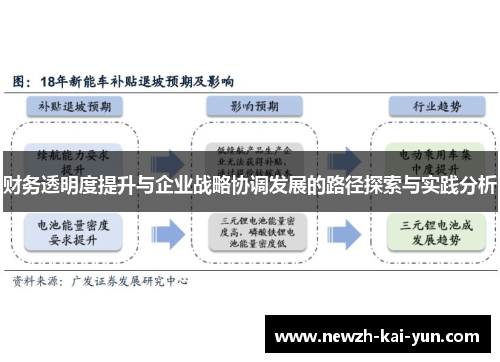 财务透明度提升与企业战略协调发展的路径探索与实践分析