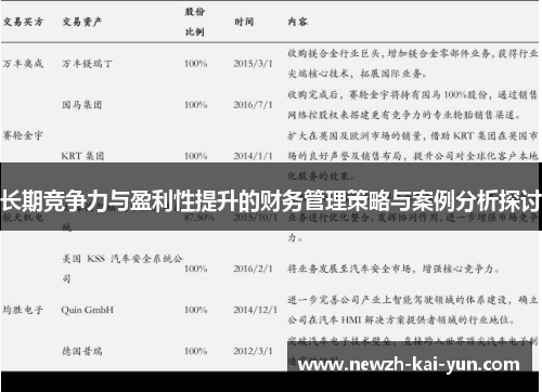 长期竞争力与盈利性提升的财务管理策略与案例分析探讨