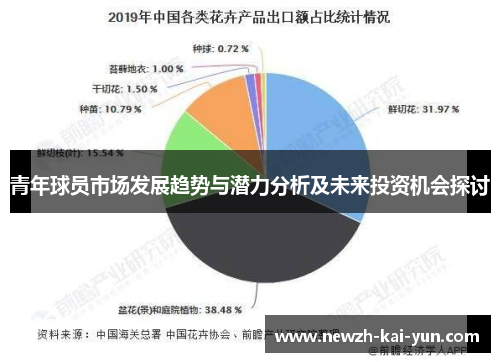 青年球员市场发展趋势与潜力分析及未来投资机会探讨