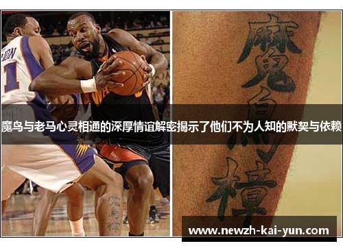 魔鸟与老马心灵相通的深厚情谊解密揭示了他们不为人知的默契与依赖 魔鸟与老马心灵相通的深厚情谊解密揭示了他们不为人知的默契与依赖